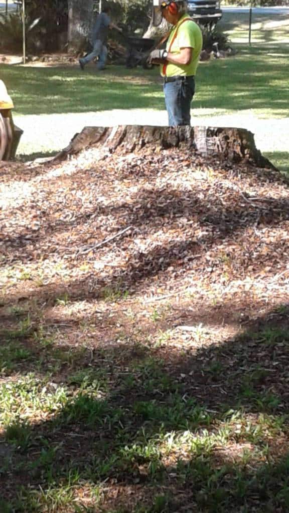 Stump Grinding Dade City