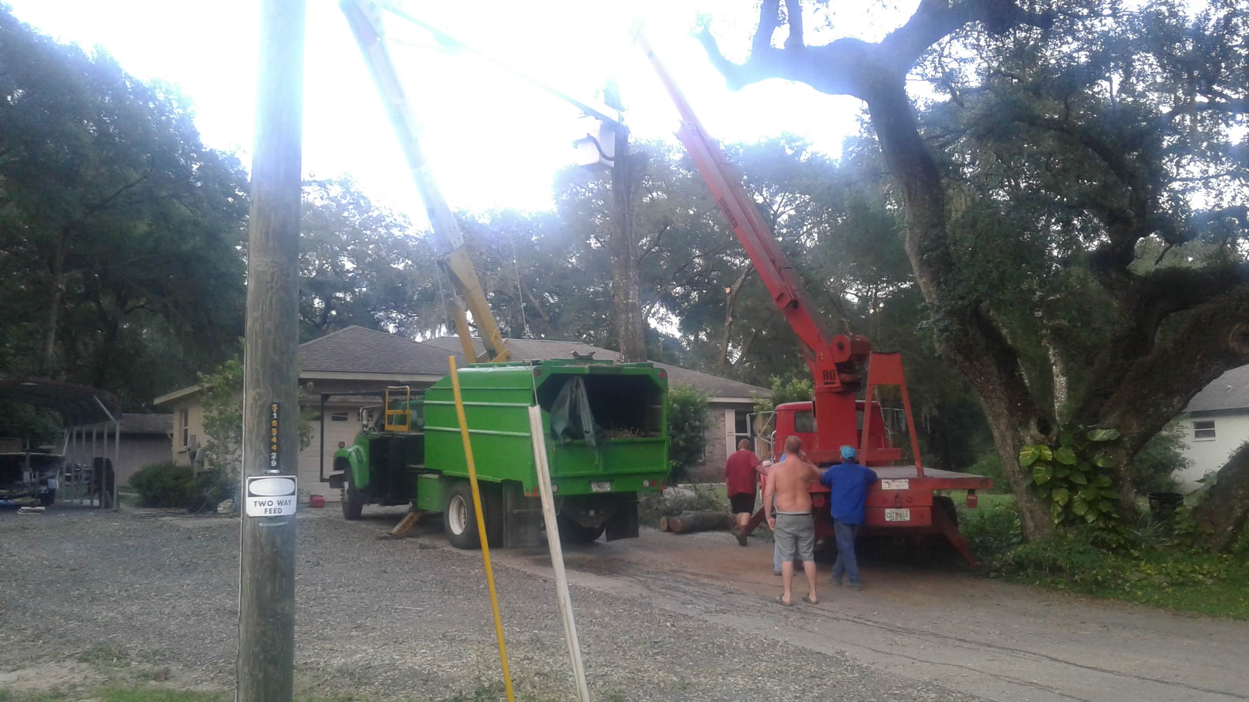 NaturesWay Stump Grinding Dade City