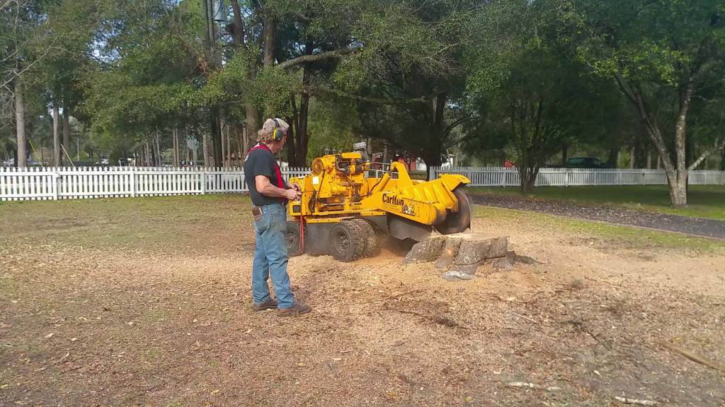Stump Grinding Dade City