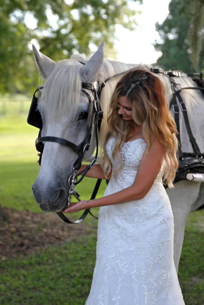 White Horse Ranch Event Venue