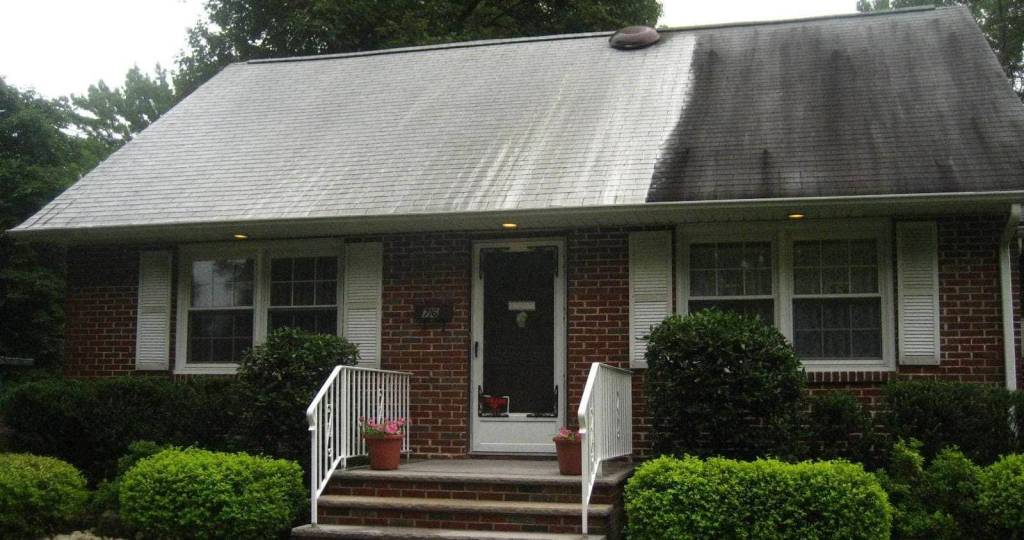 Citrus Roof Cleaning