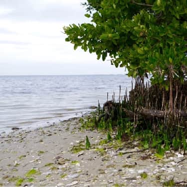 emerson point preserve