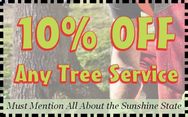 reds tree service