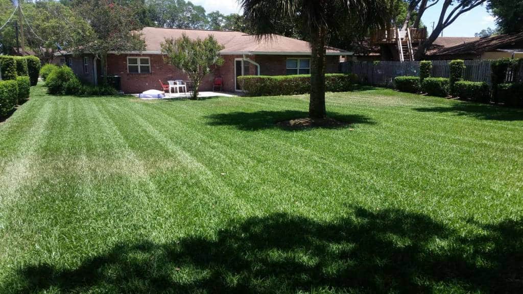 Cumbie Lawn Care