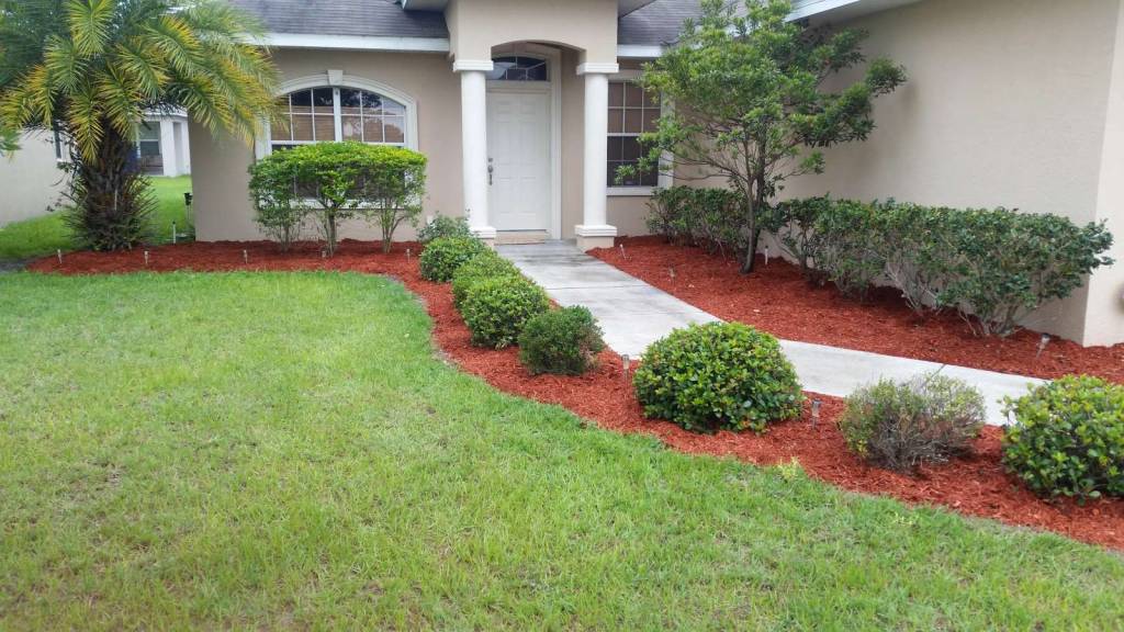 Lawn Care