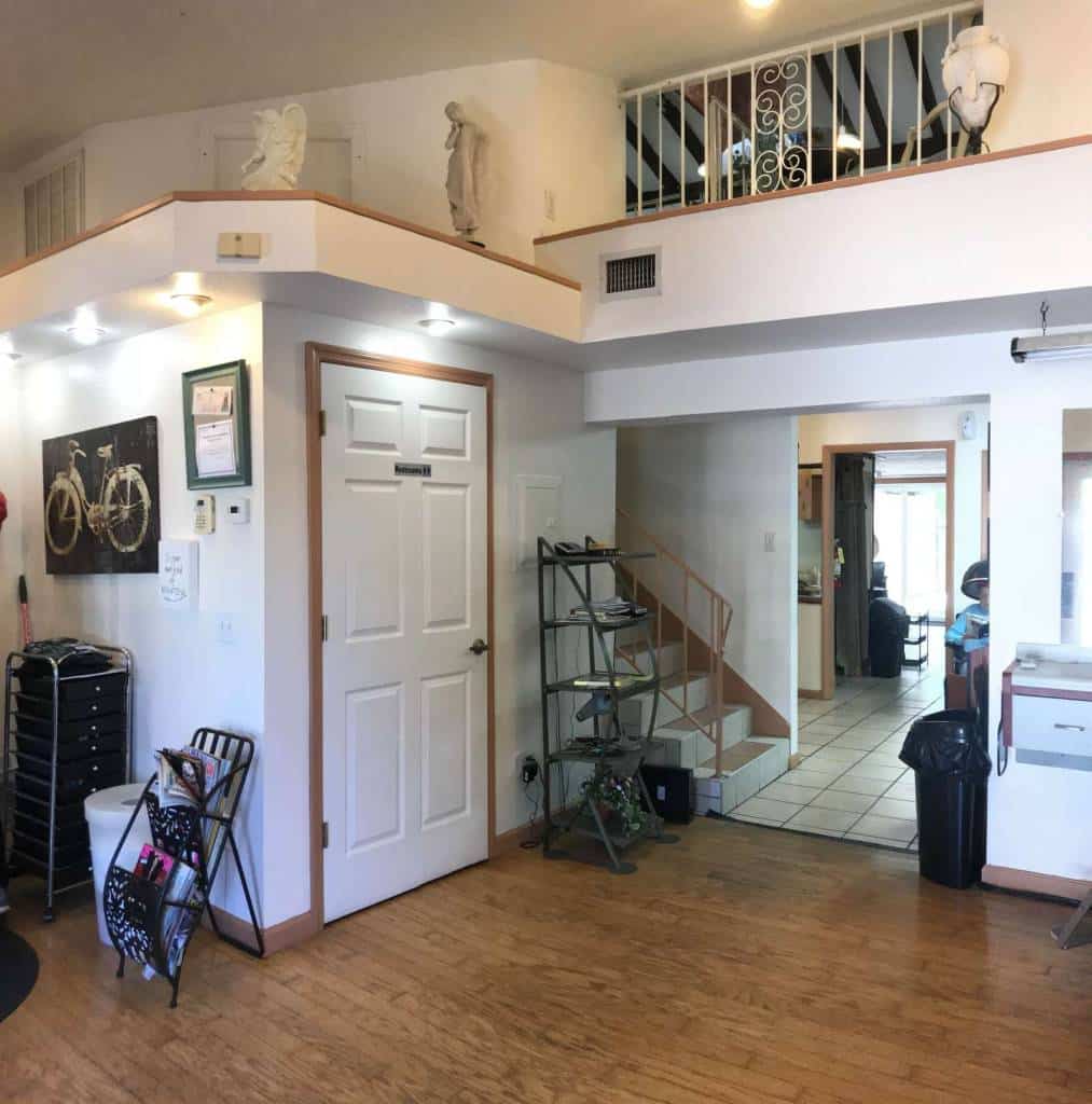 Orchid Springs Salon 1