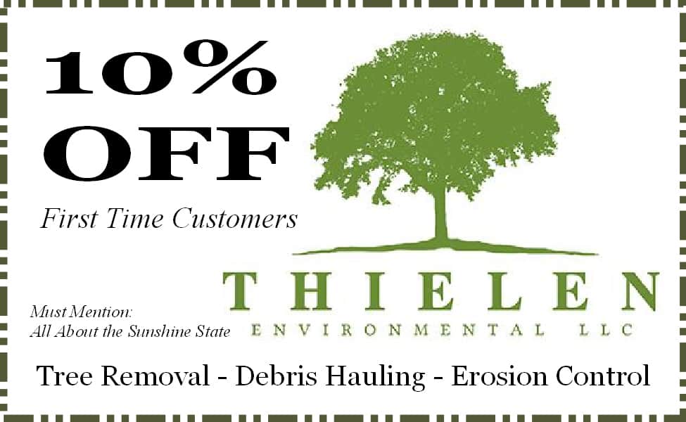 Thielen Environmental 
