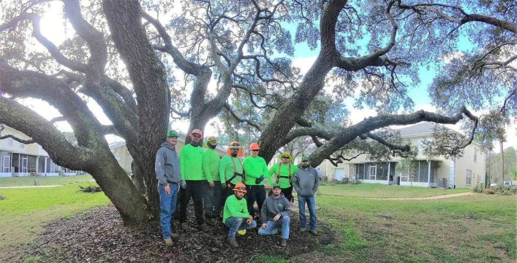 Florida Green Lawn