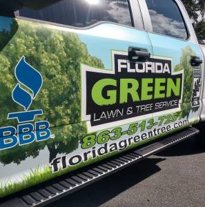 Florida Green Lawn