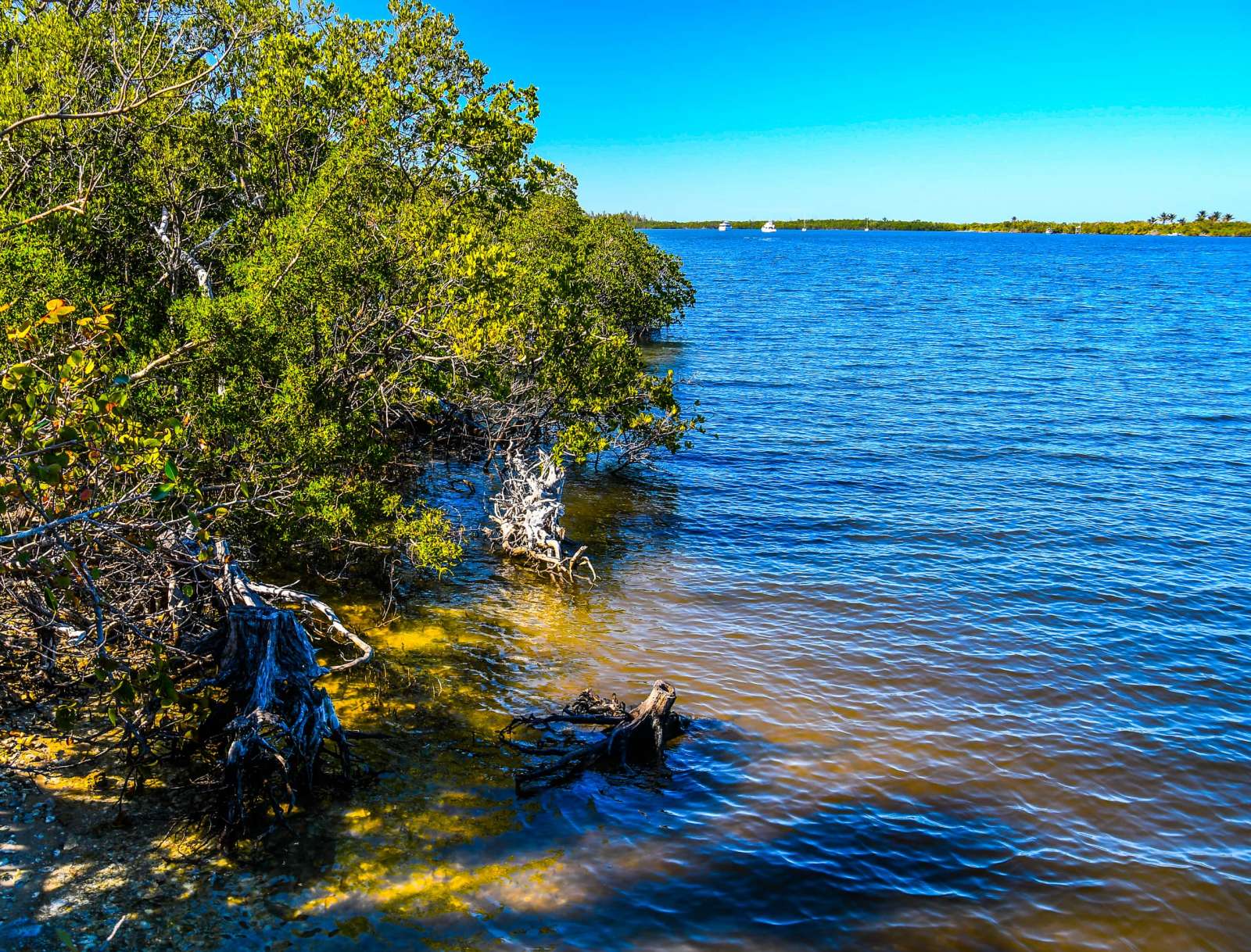 hobe sound