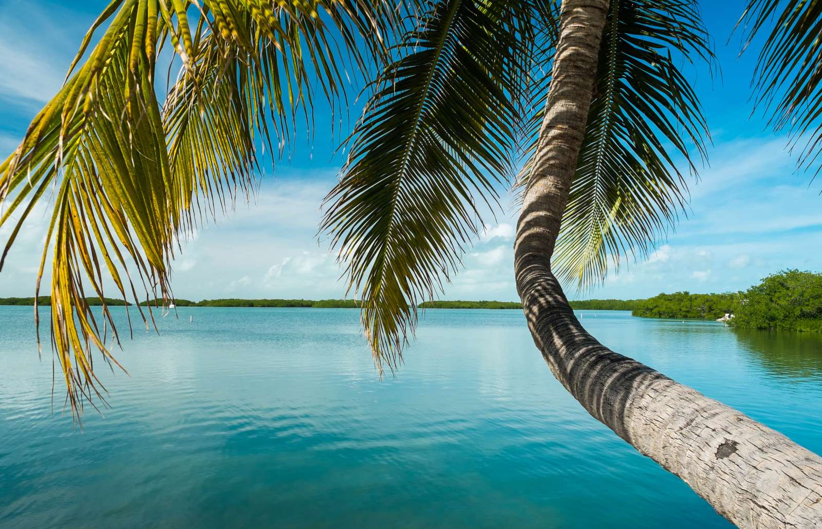 Biscayne Park