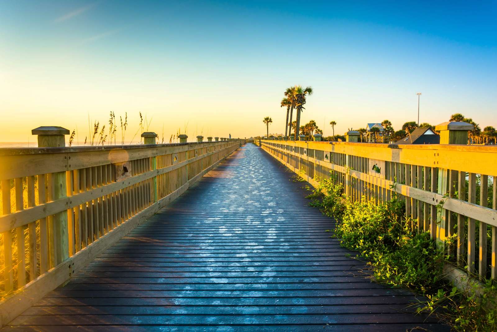 Palm Coast
