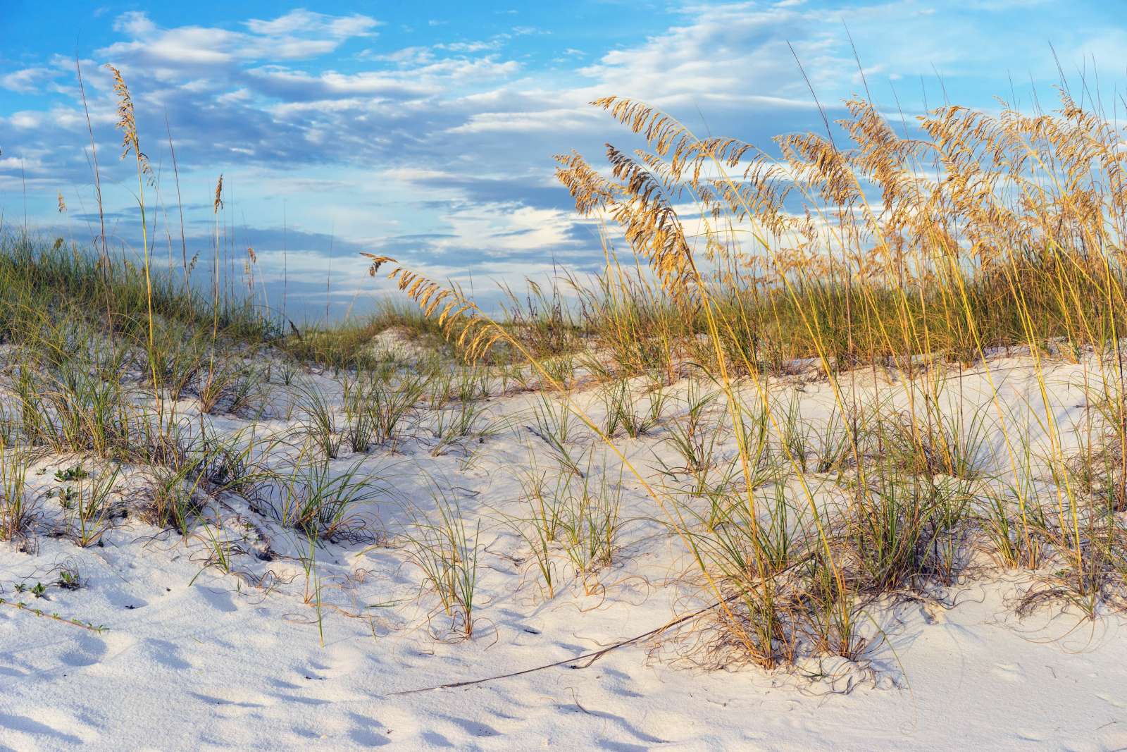 Neptune Beach