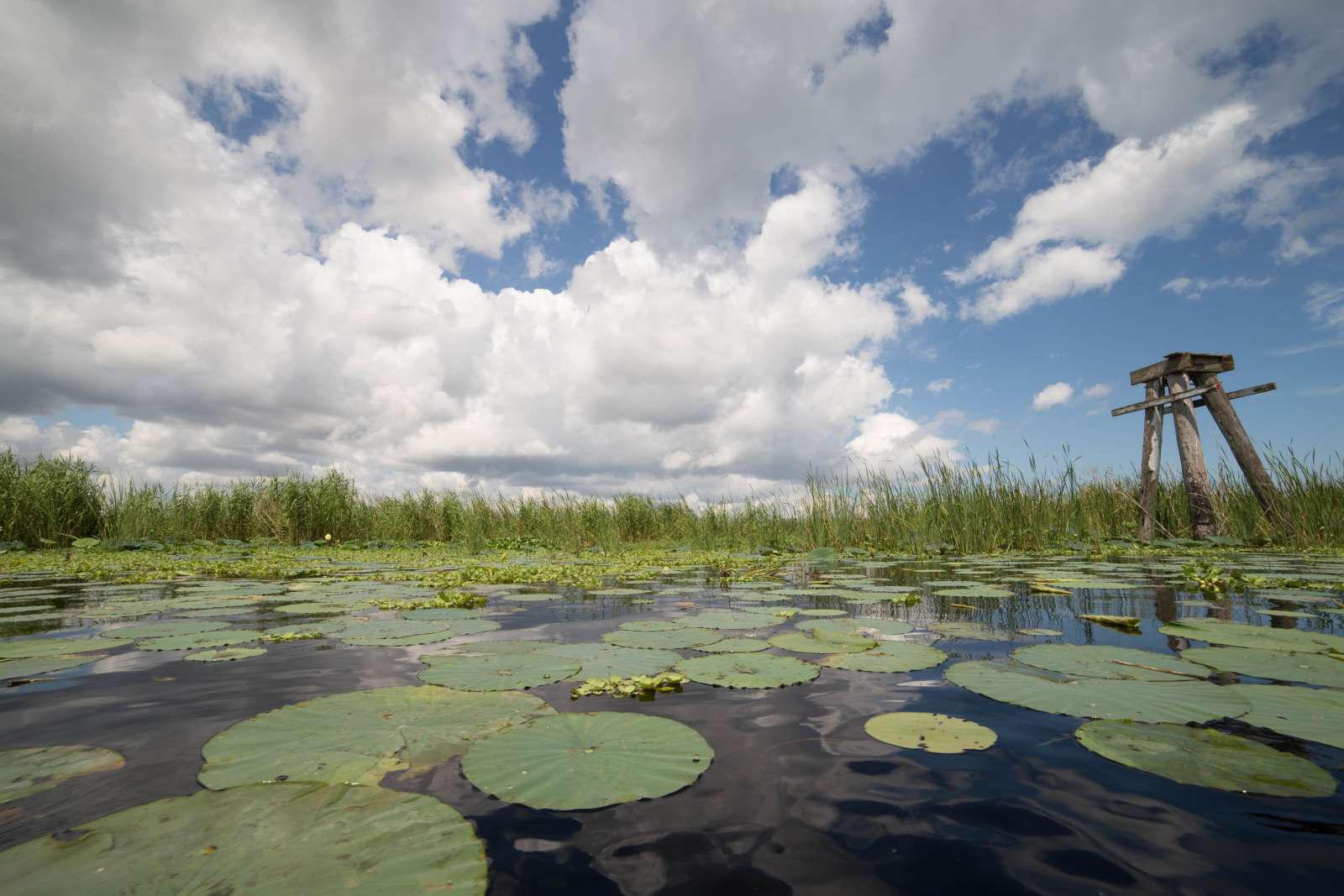 Okeechobee County