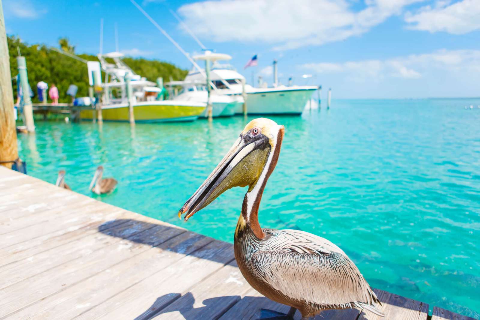 Islamorada