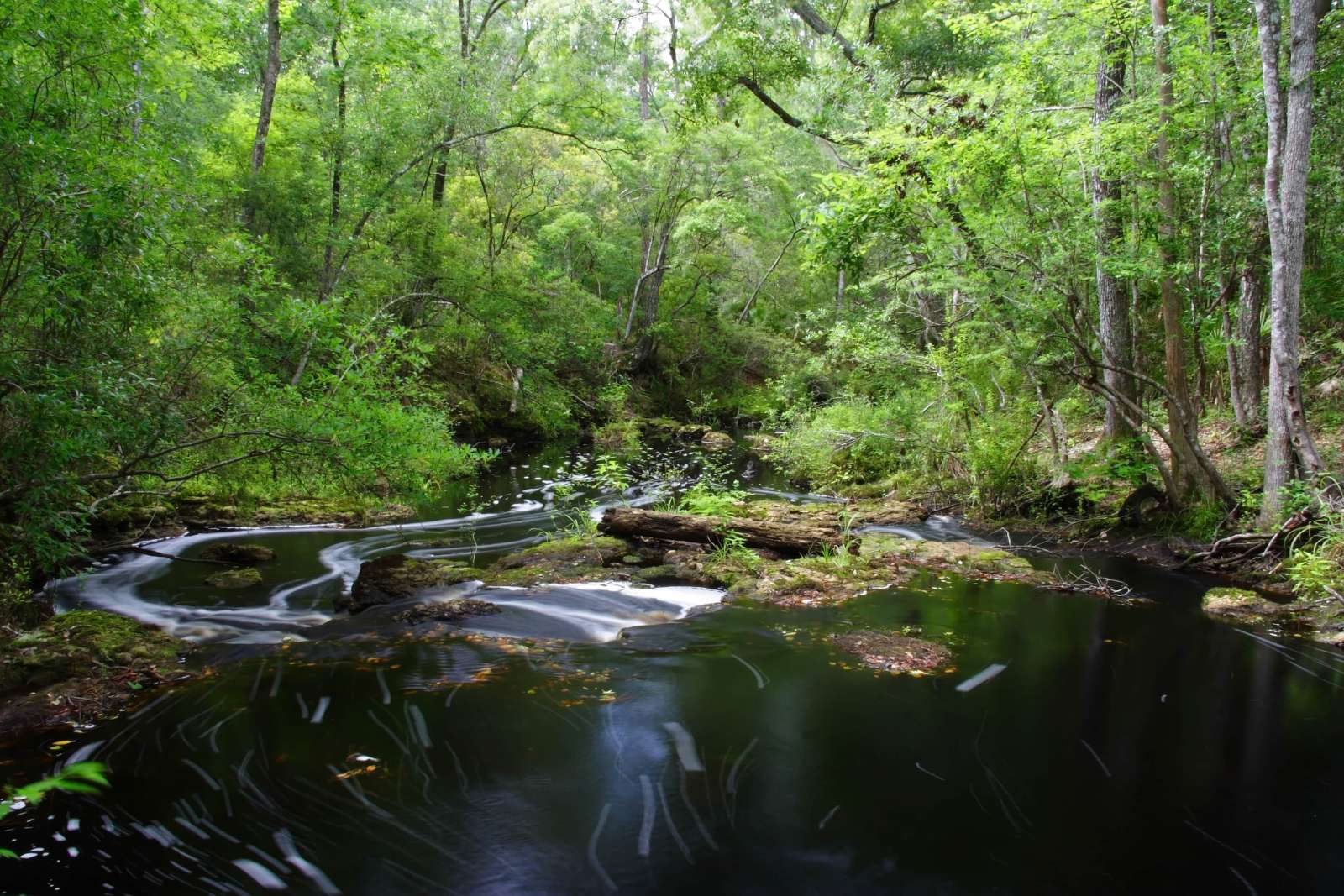 columbia county