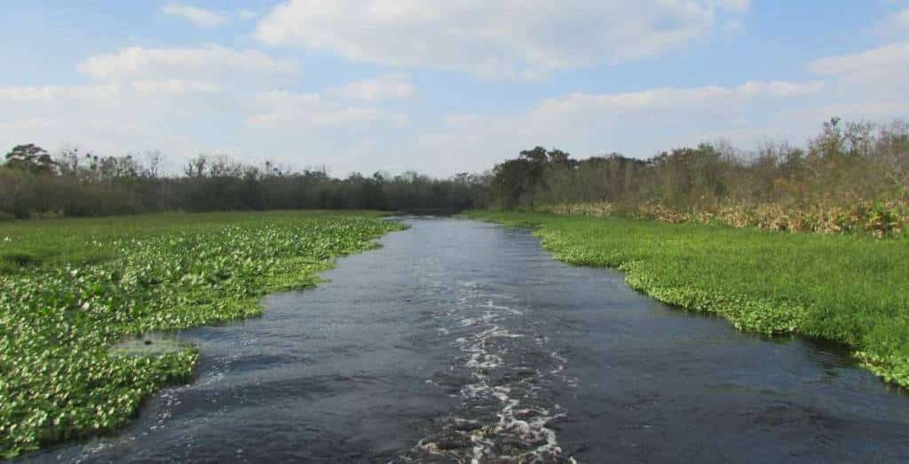 Blue Heron River Tours