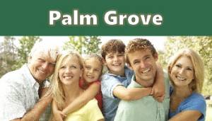 palm grove