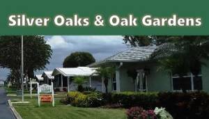 silver oaks