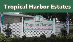 tropical harbor