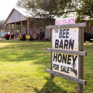 Bee Barn at Zolfo Springs