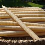 bee barn at zolfo springs