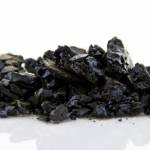 bee barn at zolfo springs