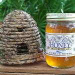 bee barn at zolfo springs