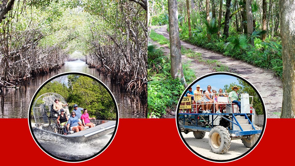 Captain Jack's Airboat Tours