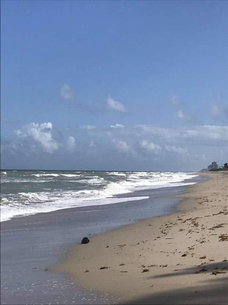 Driftwood Motel Jensen Beach