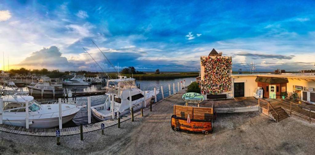 Half Shell Dockside
