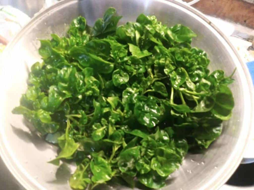Green Foods Market