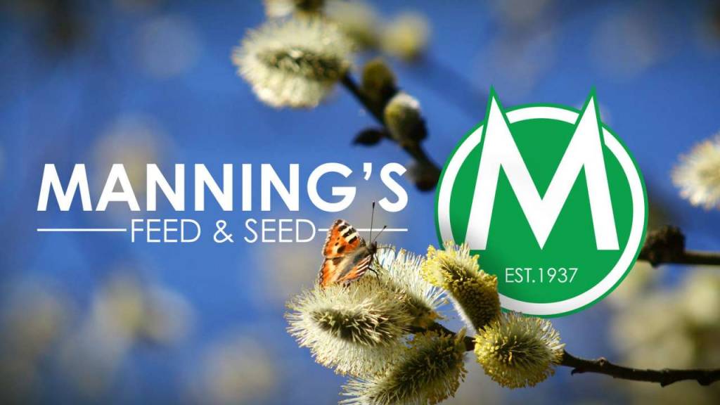 Manning's Feed & Seed