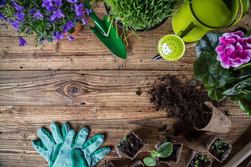 Green House Nursery