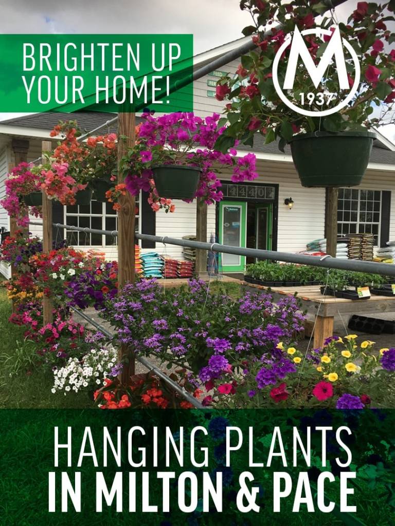 Manning's Feed & Seed