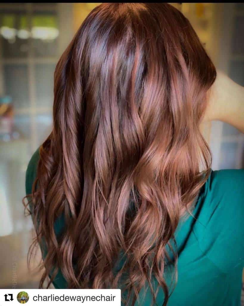 Salon Oasis of Jensen Beach