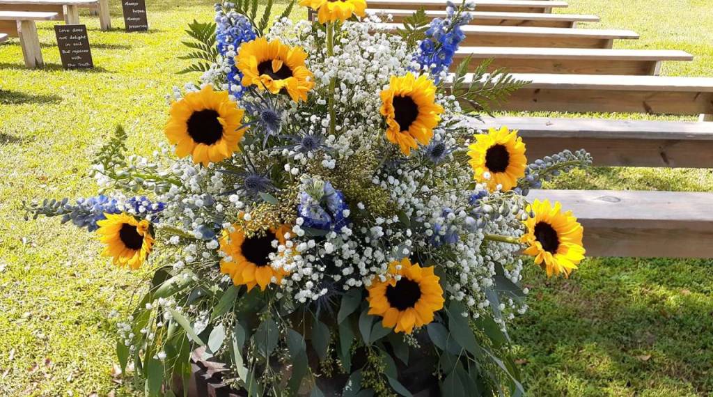 SunSations