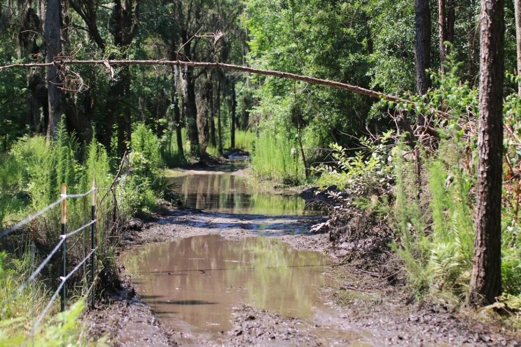 Graveyard Mud Bog