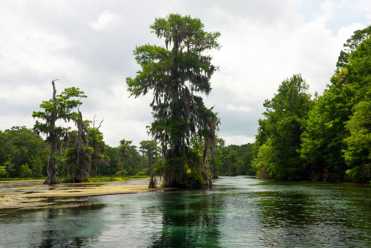 fanning springs