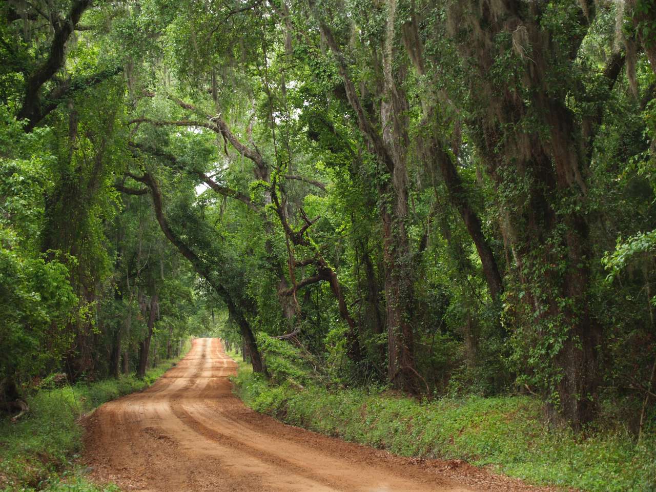 country road