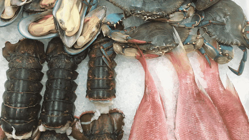 Kurdi Fresh Seafood Market & Crab Shack