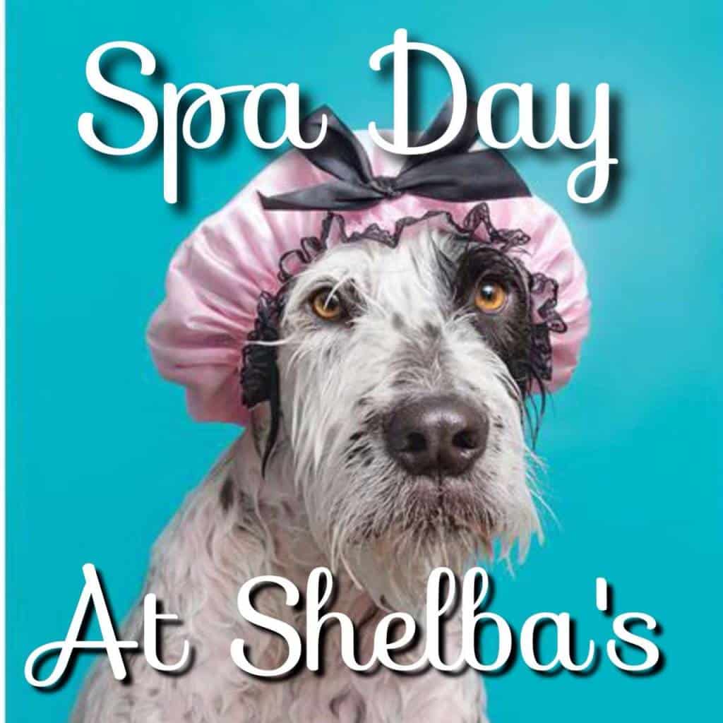 Shelba's Pet Grooming