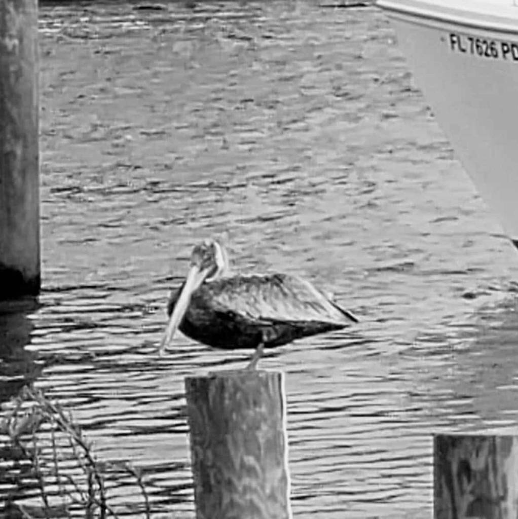 Two Brothers Dockside Restaurant