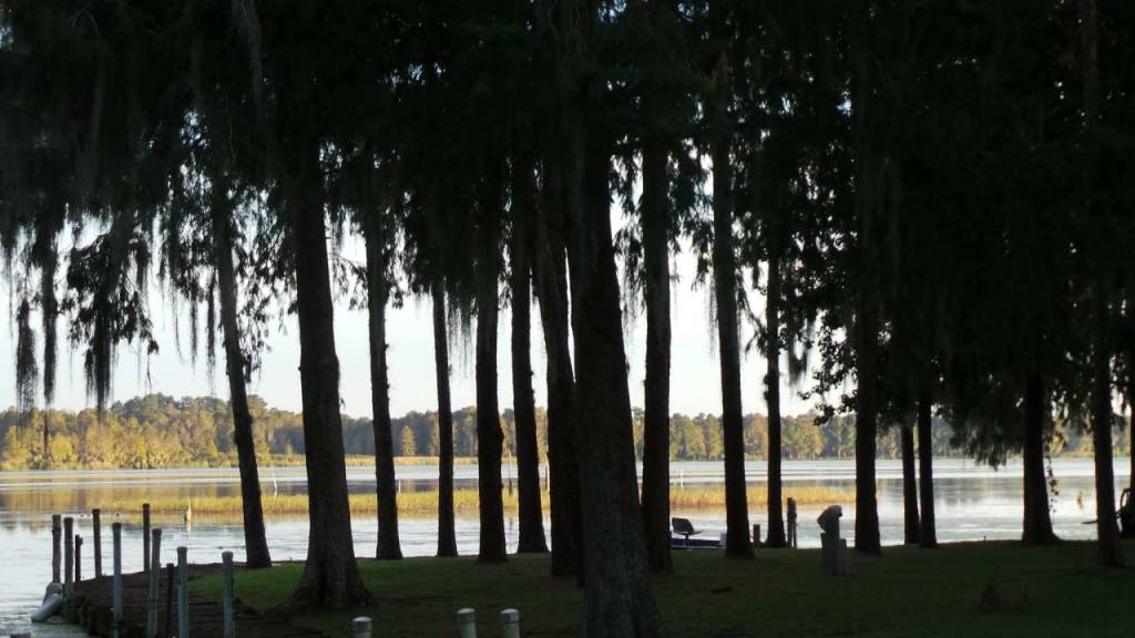 Buddy's Lakeside Park RV