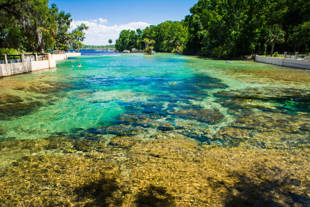 salt springs