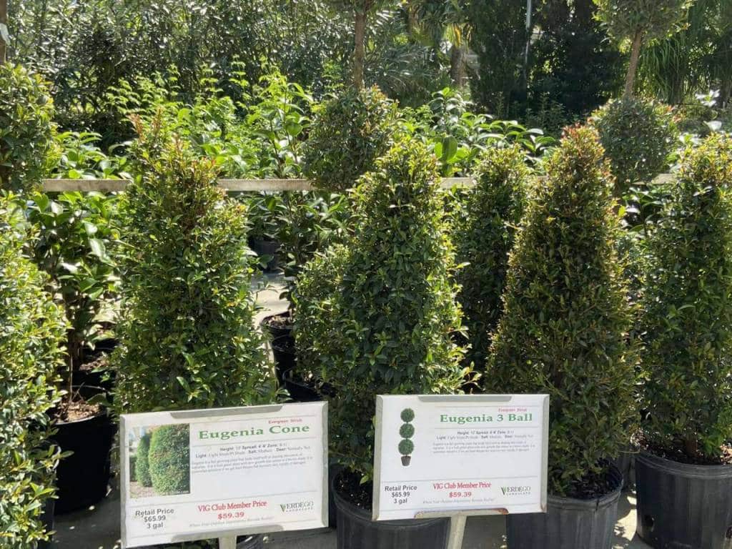 Verdego Garden Center