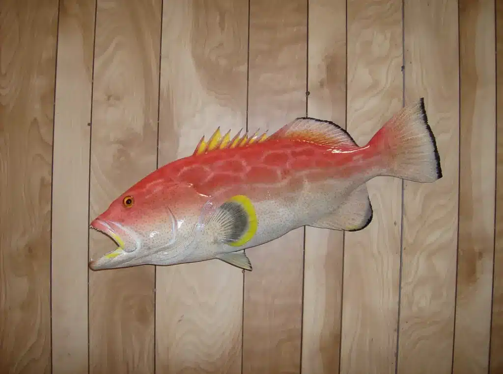 Lee's Taxidermy