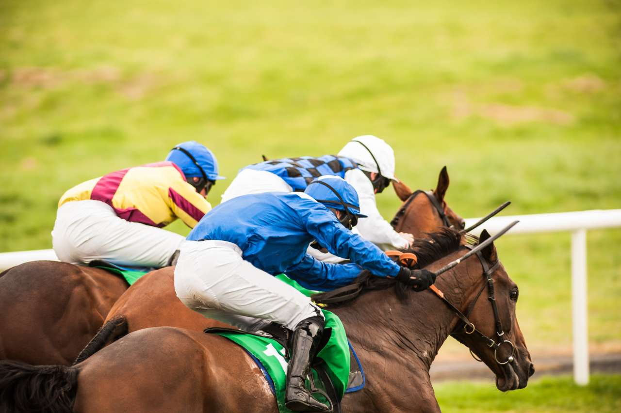 horse racing