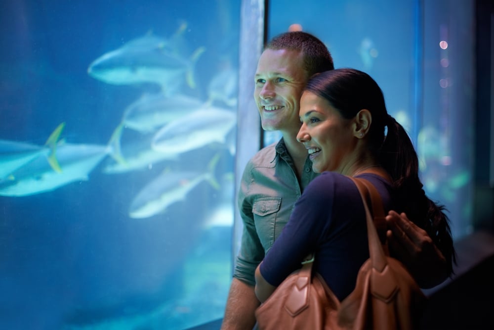 Aquariums in Florida 1