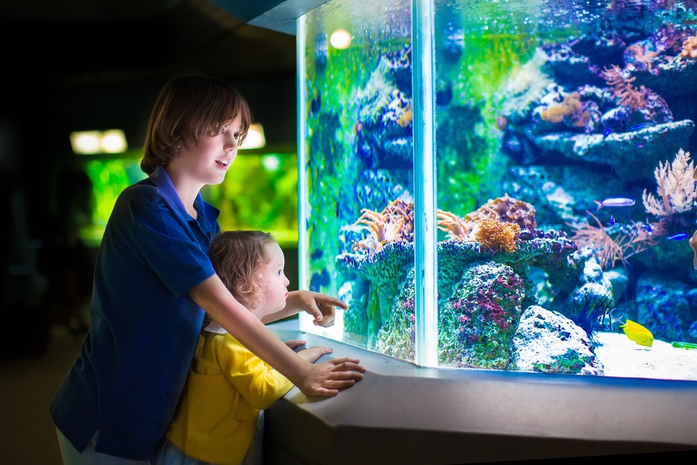 Aquariums in Florida